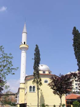 P1010041